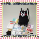 くまもんの非常用持出リュックセット(B)　KMR-B