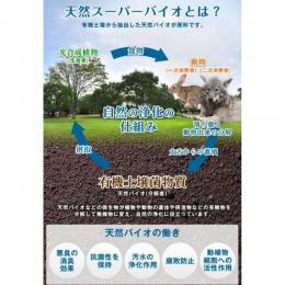 天然スーパーバイオ210 除菌剤 100ml×5本 手の除菌にも最適!